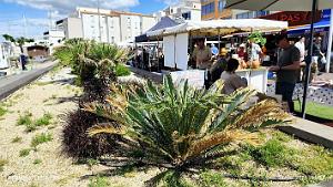Cap d'Agde - Avant-Ports - 2 Juin 2024 - 31